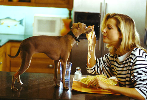 photolibrary_photo_of_woman_feeding_dog_pasta